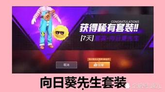 葵花皮肤爆料视频下载免费,免费体验全新视觉盛宴